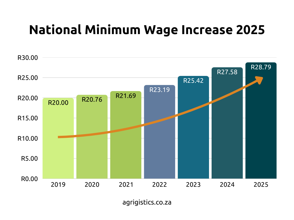 minimum wage graph south africa